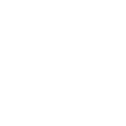 Bespoke Mentoring Programmes